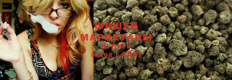 Шишки марихуана SATIVA & INDICA  наркота  Белореченск 